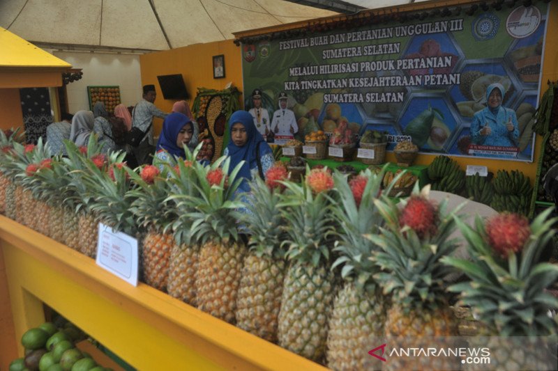 Produk buah unggulan Kabupaten dan Kota di sumsel hiasi Festival Buah