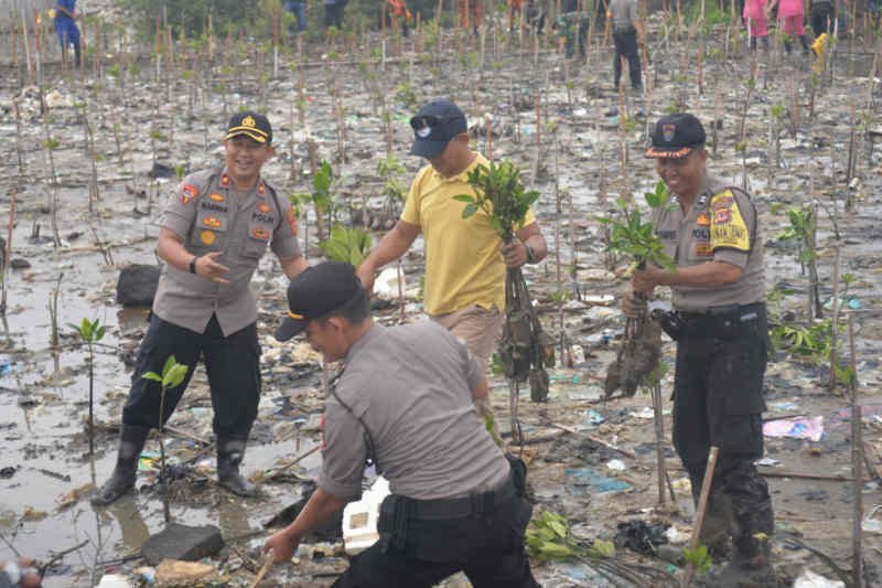 Polres Cirebon Kota tanam 7.000 bibit mangrove