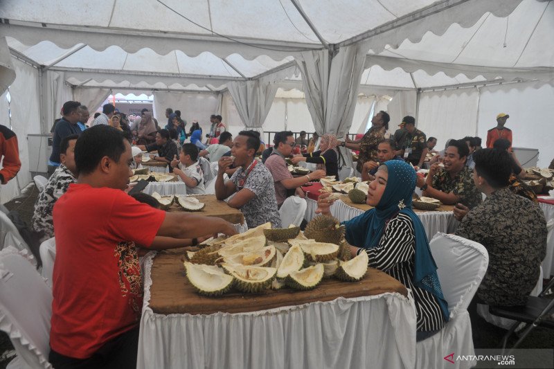 Pengunjung serbu makan durian sepuasnya