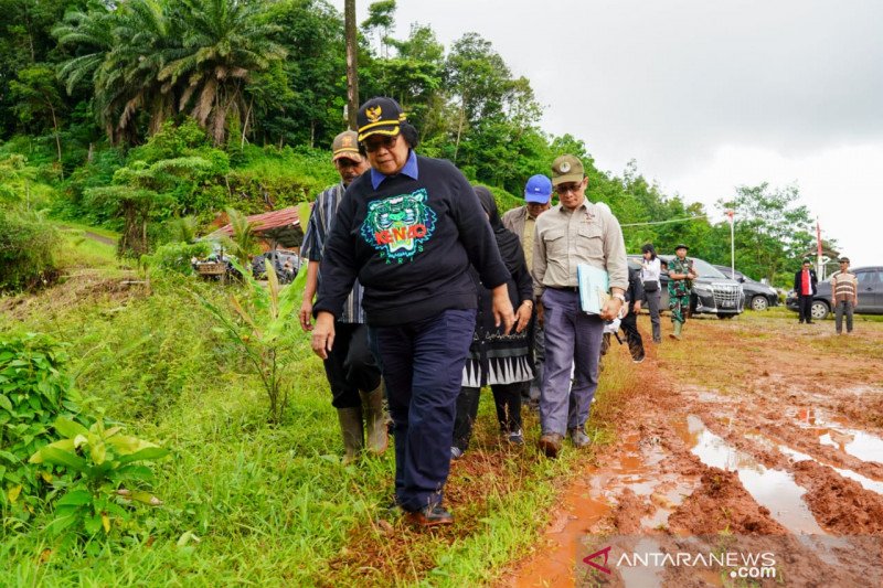 KLHK segera lakukan penghijauan hutan di Bogor dan Lebak cegah banjir