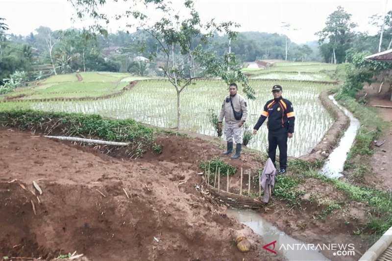 Sawah di Cibolang Cianjur terancam gagal panen akibat pergerakan tanah