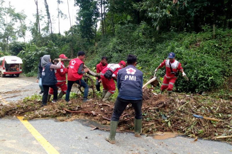 PMI Tanggamus bersihkan sampah dan puing-puing di jalan raya