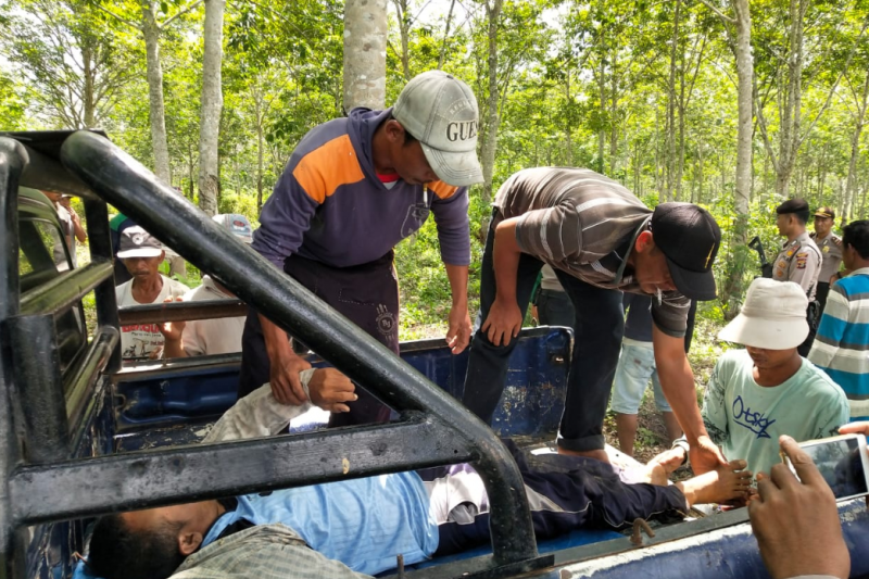 Seorang warga Mesuji tewas ditembak orang tak dikenal