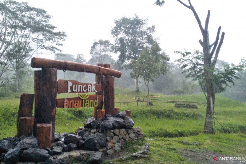 Padang Pariaman akan ajukan Puncak Anai lokasi temu karya wisata Penas Tani 2020
