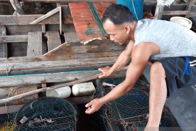 Limbah sebabkan matinya ikan di perairan Kawal Bintan