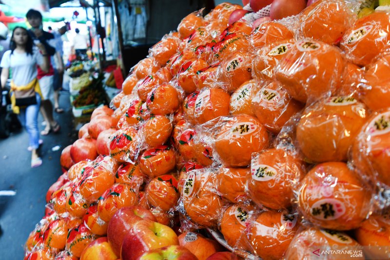 Asosiasi Hortikultura berharap tidak ada monopoli kuota impor buah