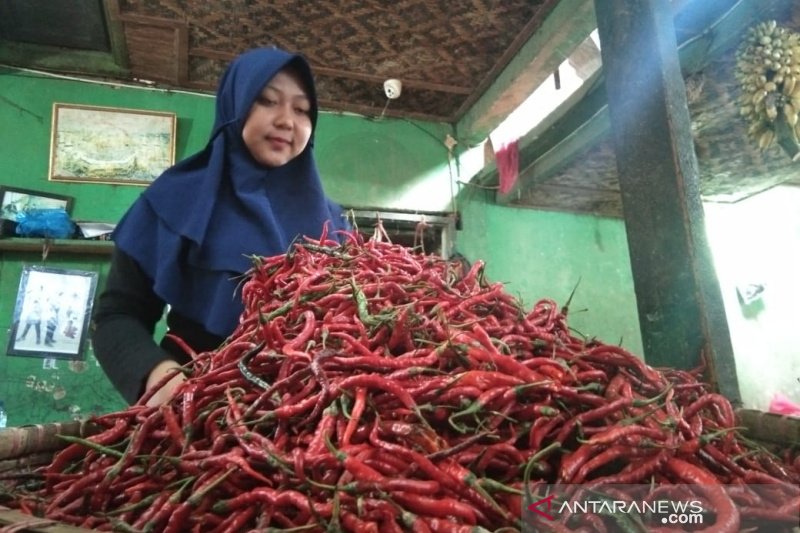 Disperindag Garut telusuri penyebab kenaikan harga cabai di pasaran