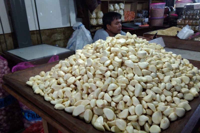 Bawang Putih China Di Pasar Induk Kramat Jati Rp42 000 Per Kilogram Antara News