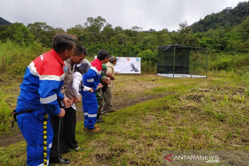 PKEK lepasliarkan sepasang elang ular di hutan Talaga Bodas Garut