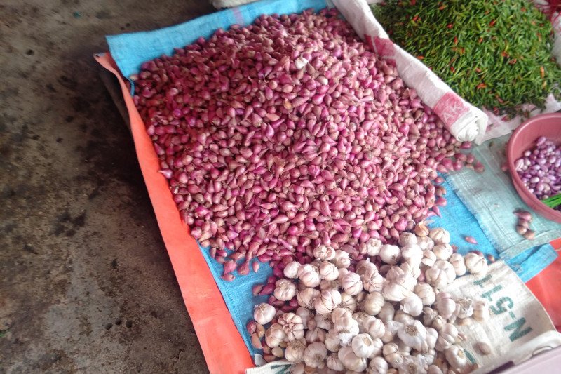 Harga bawang putih di Ogan Komering Ulu naik mencapai Rp60.000/Kg