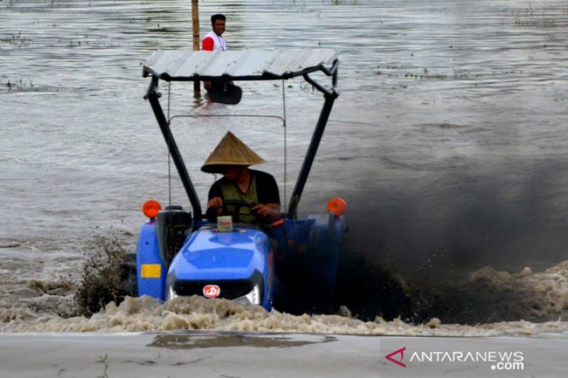 Balapan traktor sawah di Takalar