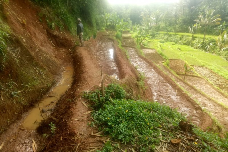 84 kejadian bencana terjadi sepanjang Januari di Kabupaten Sukabumi