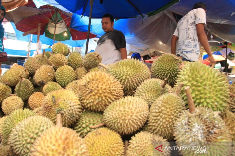 DURIAN SIJUNJUNG