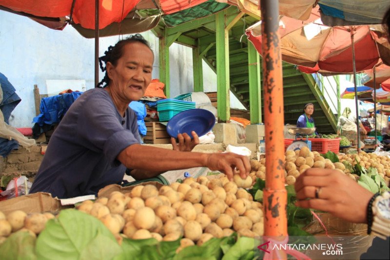 MUSIM BUAH DUKU