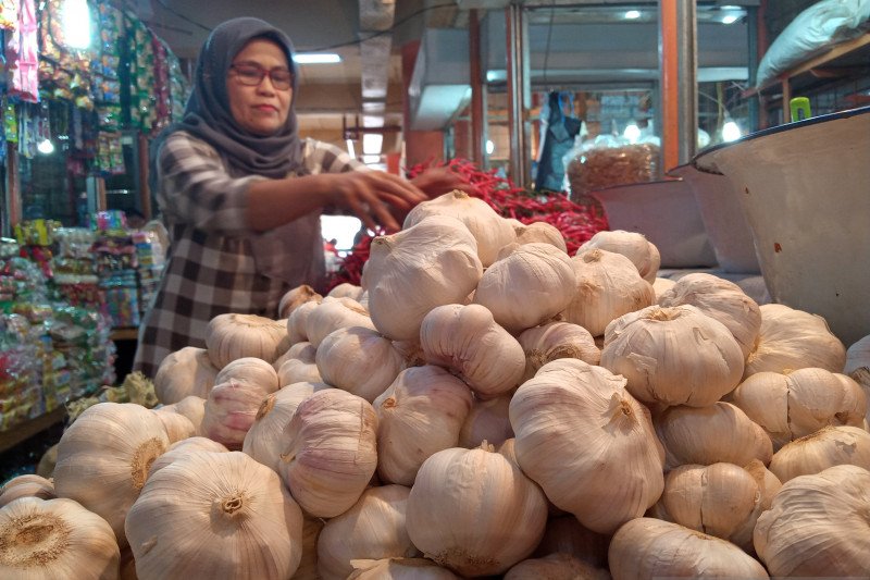 Gara-gara virus Corona, harga bawang putih capai Rp60.000 per kilogram di pasar Raya Padang