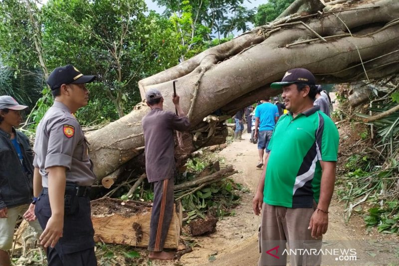 Jalan penghubung antardesa di Cianjur sudah dapat dilalui kendaraan