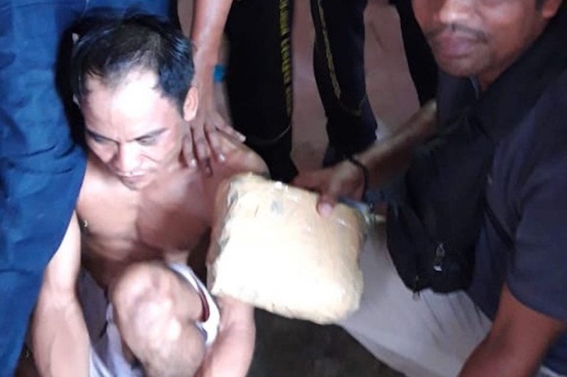 Polres Pasaman Barat tangkap dua pengedar ganja di lokasi berbeda