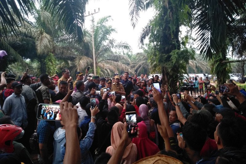 Diduga bermasalah, Gubernur Kalteng perintahkan PT SSM hentikan aktivitas