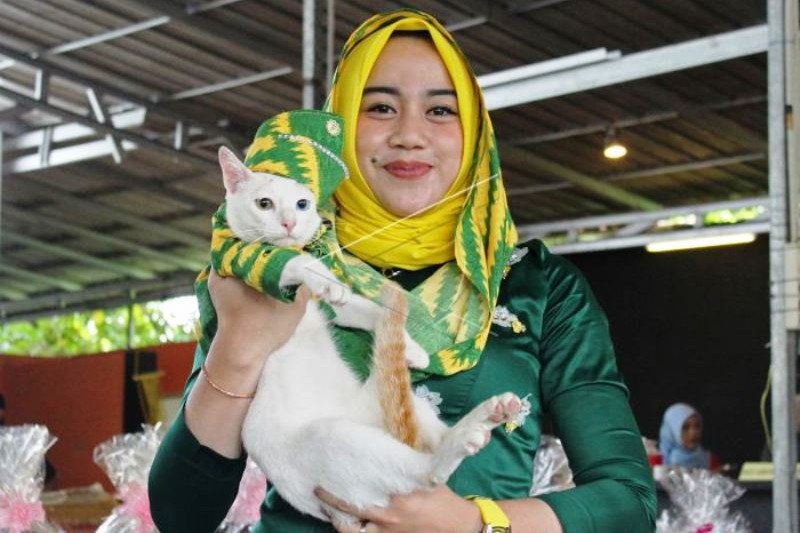 Festival Kucing Kampung di Pontianak