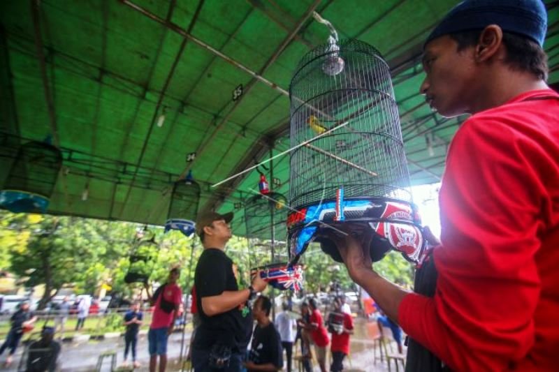 Kontes Burung Kicau Nasional