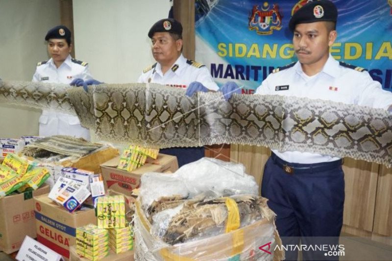 PENYELUNDUPAN KULIT ULAR DAN BIAWAK DARI INDONESIA