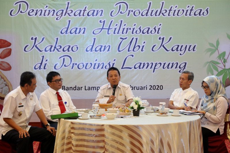 Produksi ubi kayu Lampung bisa di atas 25 ton per hektare