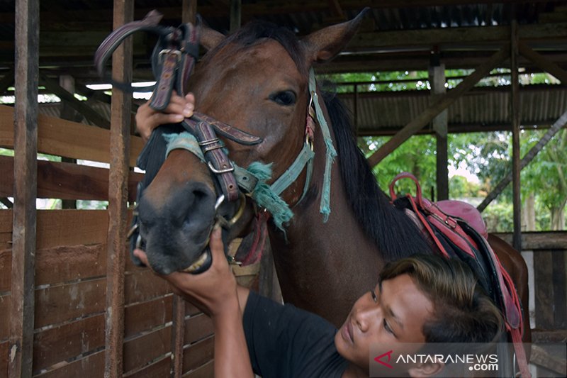 Melihat aksi Joki Cilik di Pekanbaru