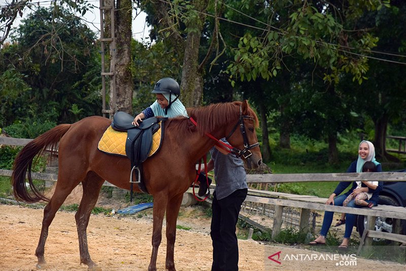 Melihat aksi Joki Cilik di Pekanbaru