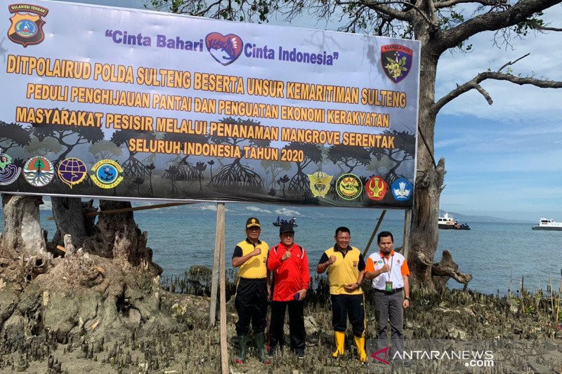 Polda tanam ribuan mangrove di bekas tsunami Palu