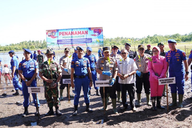 Polda targetkan tanam 10 ribu batang mangrove di wilayah pesisir Sumbar