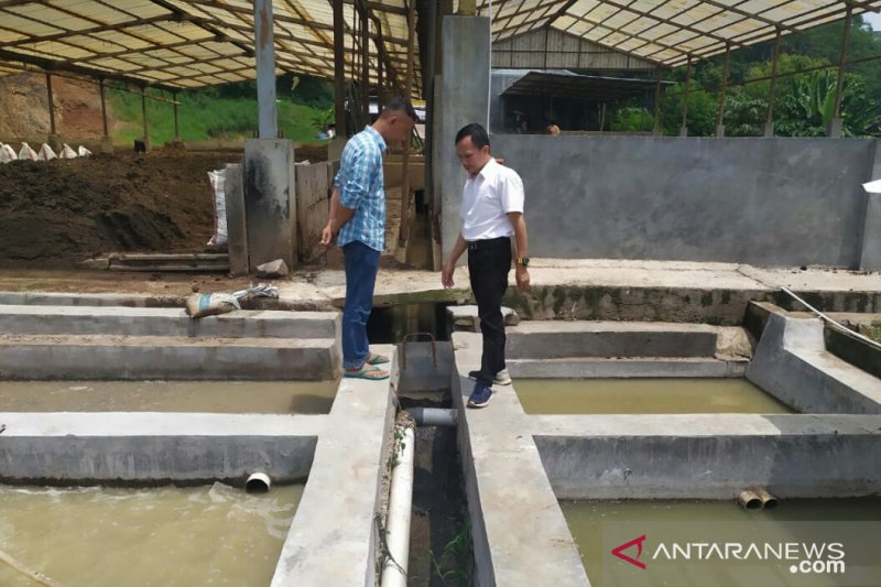 Peternakan ayam petelur di Cianjur terancam sanksi pidana dan tutup usaha