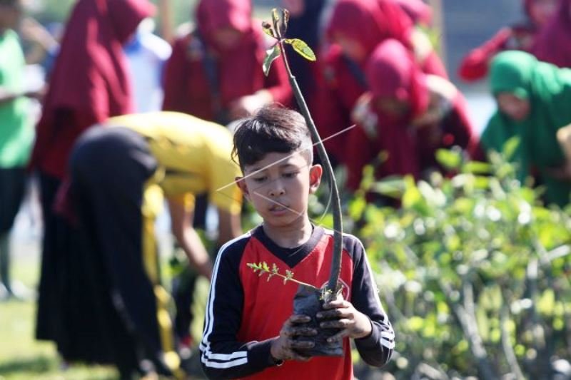 Edukasi Penanaman Mangrove Sejak Dini