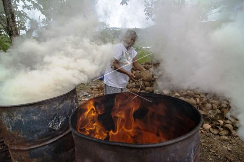 Pembuatan Arang Terpurung Kelapa