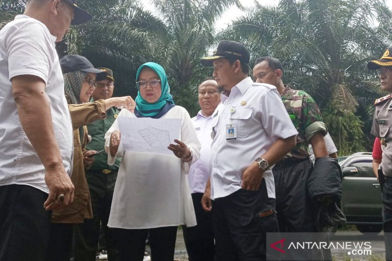 501 pohon sawit ditebang untuk rekolasi tetap warga  Bogor korban bencana