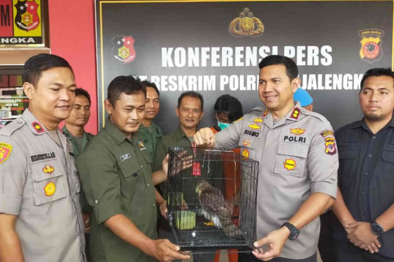 Polres Majalengka tangkap dua penjual hewan dilindungi via medsos