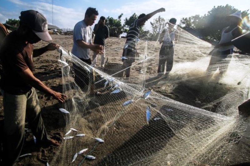 Tangkapan Ikan Nelayan di Saat Cuaca Buruk