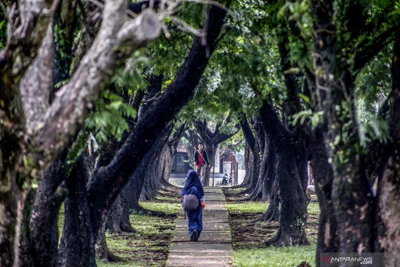 BRIN bangun rumah kaca di Kebun Raya Cibinong Bogor