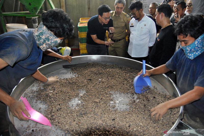 Pemkab Gunung Kidul mendorong peternak kembangkan pakan alternatif