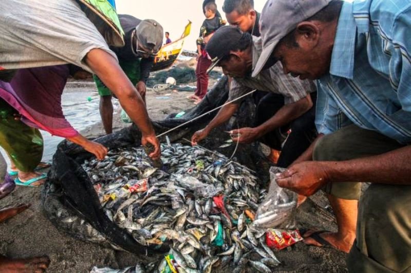 Tangkapan Ikan Bercampur Sampah Plastik