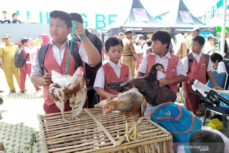 Dianggap berhasil, Pemkot Bandung bakal lanjutkan program berbagi anak ayam ke pelajar