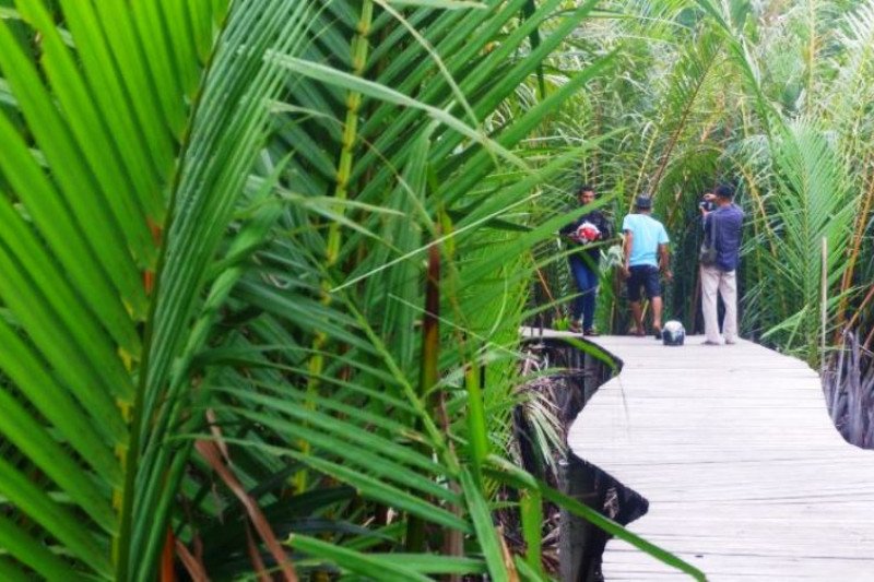 Wisata Green Talao Park Padang Pariaman