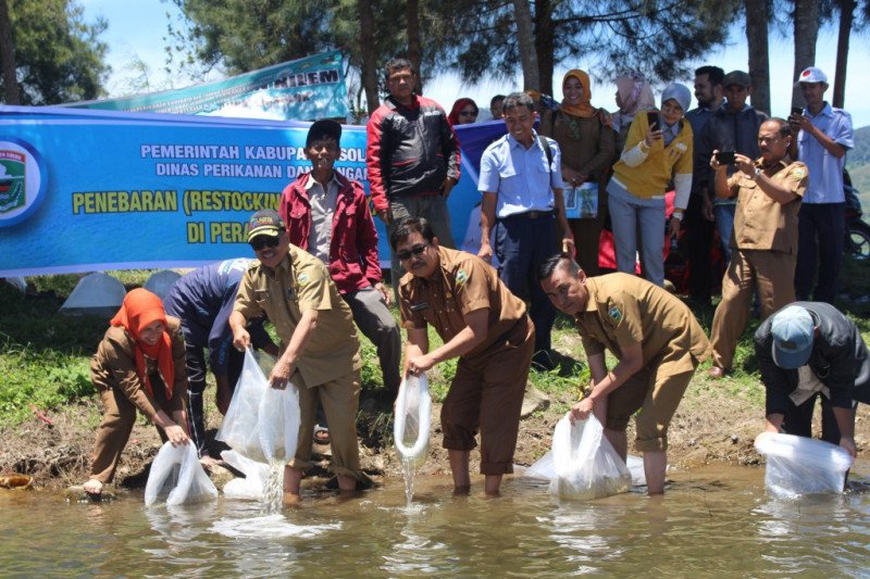 Alami krisis akibat padat tangkap, Pemkab Solok tebar 350 ribu benih ikan di Danau Diatas