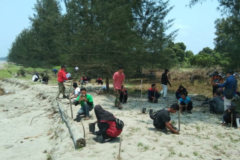 Komunitas Pandah Maligi targetkan tanam 10 ribu bakau di Sasak (Video)