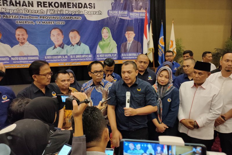 NasDem usung satu-satunya perempuan di Pilkada Serentak