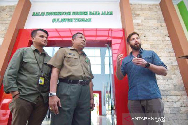 Terkait  COVID-19, penyelamatan buaya ban dihentikan