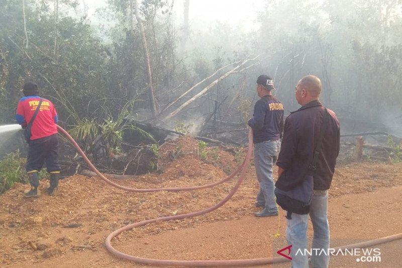 Dalam dua hari, seratusan hektare lahan di Bintan terbakar