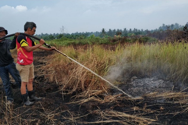 Karhutla kembali terjadi ditengah wabah COVID-19 di Inhil