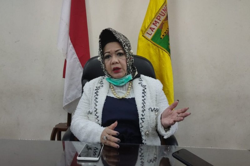 Dinkes akui Lampung kekurangan APD lengkap