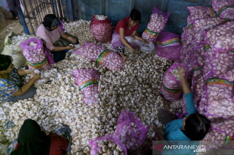 Harga bawang putih dan bombai impor turun di pasar induk Garut