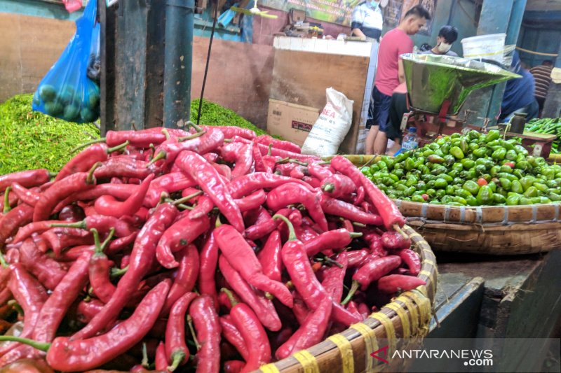 Harga semua jenis cabai di Pasar Induk Garut turun karena minim pembeli